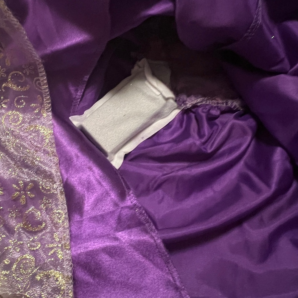 Disney Musical Rapunzel Dress 4-6X - Picture 9 of 13